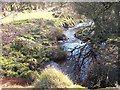 A minor tributary of Afon Dwyfach