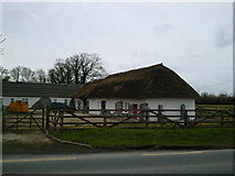 N9549 : Thatched Cottage, Co Meath by C O'Flanagan
