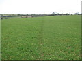 Footpath to Pett Bottom