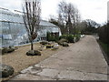 Greenhouse at Plumpton College