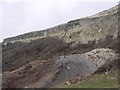 SZ4976 : Gore Cliff near Niton, Isle of Wight by nick macneill