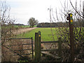 Footpath to Haseley south of Waste Green