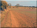 Arable land on Catstone Hill