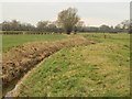 Path along the Old Rhyne