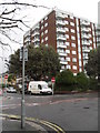 Flats as seen from Gratwicke Road