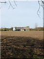 Sheds by Hall Farm, Billingford