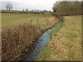 Drainage channel near Leigholt Wood