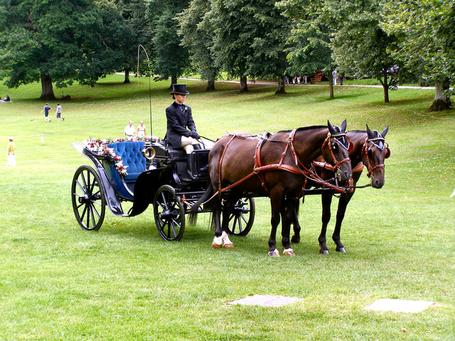 Carriage on the Green © David Dixon :: Geograph Britain and Ireland