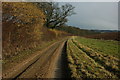 Bridleway to Pittleworth Dairy Farm