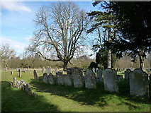 SU4739 : Wonston - Holy Trinity Church Graveyard by Chris Talbot