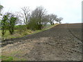 Arable land on Hodge Hill