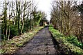 Disused railway now used as a walkway