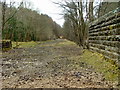 Line of the old railway in Glen Farg