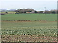 View towards Long Manor