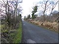 C1300 : Road at Magheravail by Kenneth  Allen