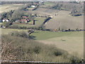 Zoom view of vineyard near Westmeston