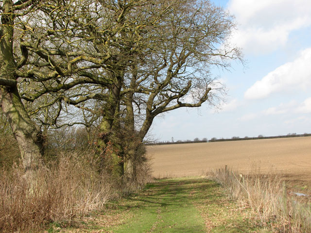 The north-eastern edge of the chalk pit © Evelyn Simak :: Geograph ...