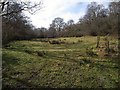 Meadow by the Yeo