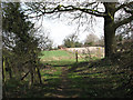 View towards Manor Farm in Arminghall