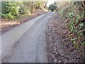 Steepest section of Old Hill, Christchurch