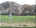 Penmaen Bach from the Dwygyfylchi road