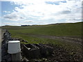 Upturned bucket protects gate-post