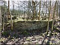 Ruined Cottage by Brackenhirst Road