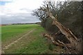 Footpath to Warley St