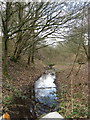 Stream flowing along disused railway track