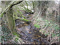 The eponymous brook, of the adjacent farmhouse