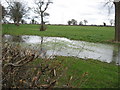 Pond with pylon