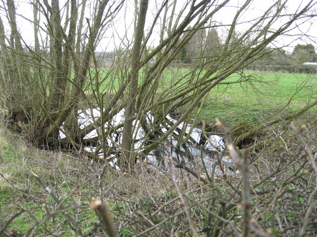Pond adjacent to roadside