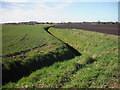 Wide skies and rich farmland, West Lancs