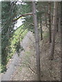 Footpath beside the A556 Chester road