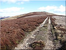 NO4277 : Track between Cairn Caidloch and Burnt Hill by Richard Webb