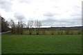 Fields near Rogers Wood