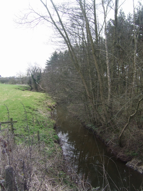 River Sow downstream near Eccleshall