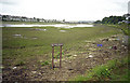 RSPB sign on the Hayle Estuary