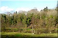 River Avon at Limpley Stoke