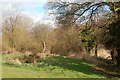 Daventry: edge of playing field near Rawlings Close