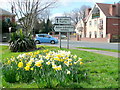 Spring comes to Ross-on-Wye 1