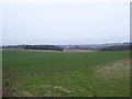 Looking across the fields towards Oliver