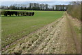 Footpath from Micheldever station