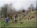 Footpath Staircase leading to A69 and Horse Close