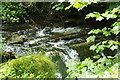 Stream at Nanternis