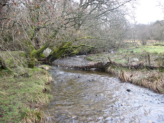 Crychell Brook just downstream of the confluence