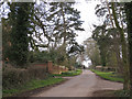 Firs Lane at Haseley Green