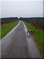 Bridleway towards Rayton Farm