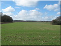 Field beside Railway Hills