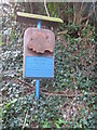 Memorial to a Tree on Railway Hill